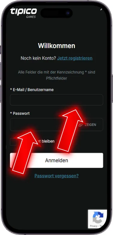 Daten eingeben