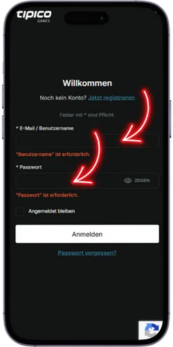 Login-Daten eingeben